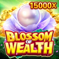 Thỏa thuận người dùng sinbet app