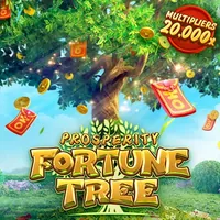 Tài liệu điều khoản dịch vụ sinbet app