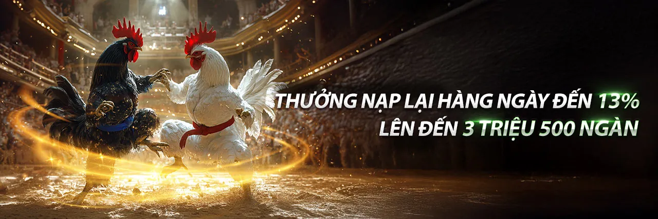 Cá cược thể thao sôi động trên sinbet app