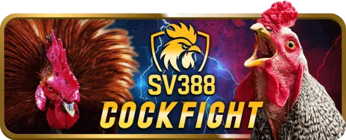 Đá gà trực tuyến trên sinbet app